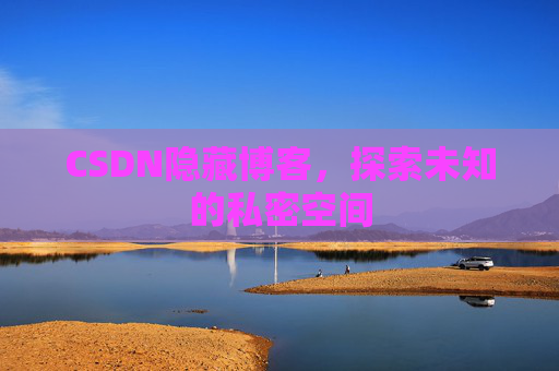 CSDN隐藏博客，探索未知的私密空间